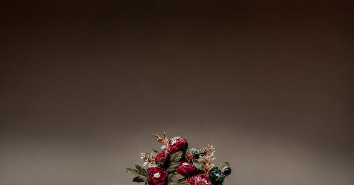 Advanced Dutch Vocabulary: Expanding Your Lexicon for Fluency