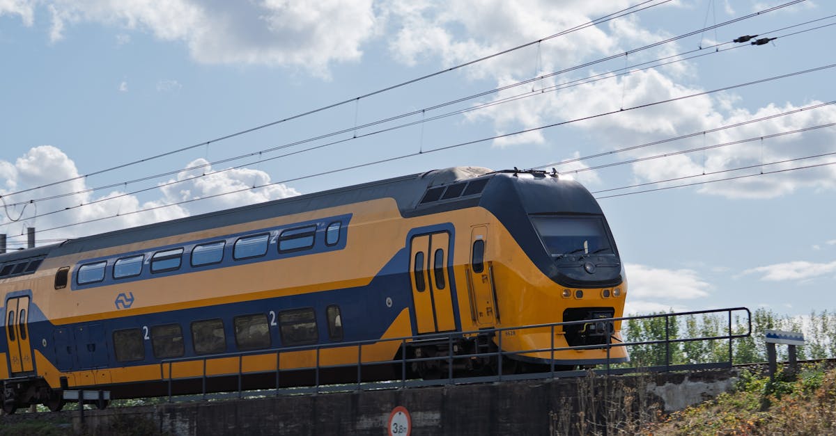 Advanced Techniques for Dutch Grammar Mastery