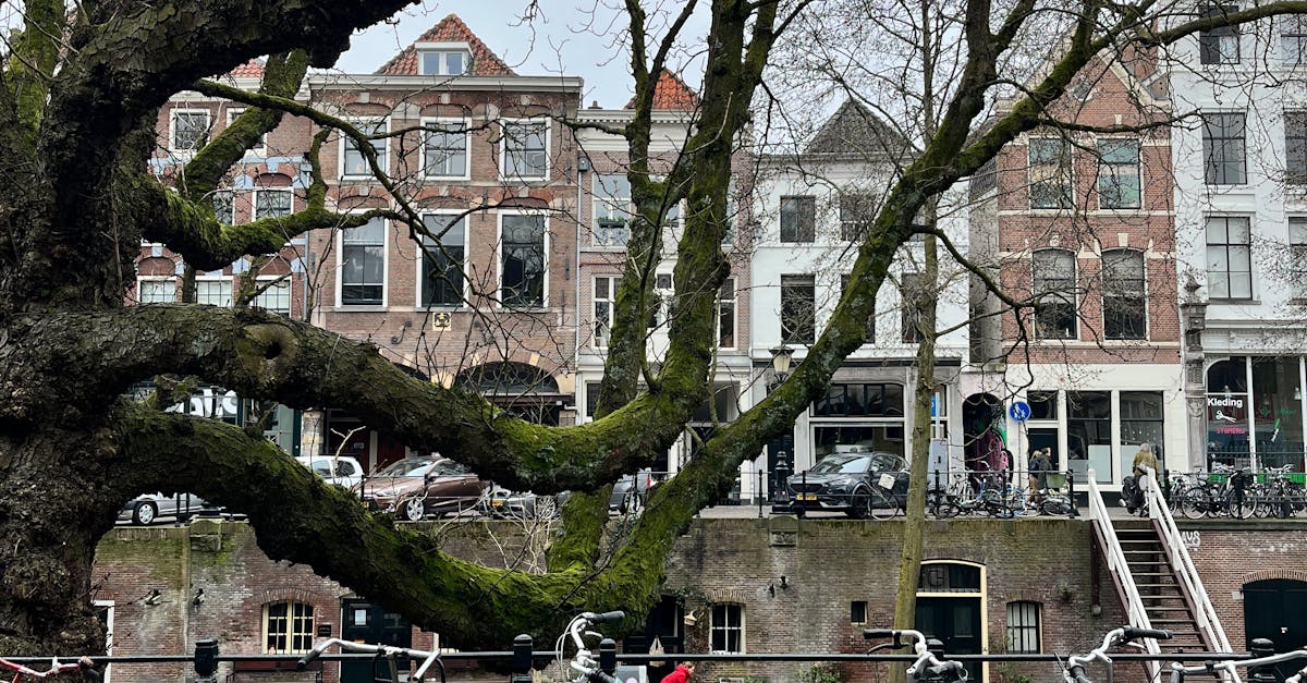 Best Practices for Time Management in Online Dutch Classes