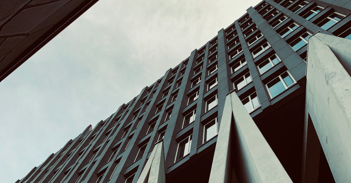 Building Confidence in Dutch Through Conversation Exchange