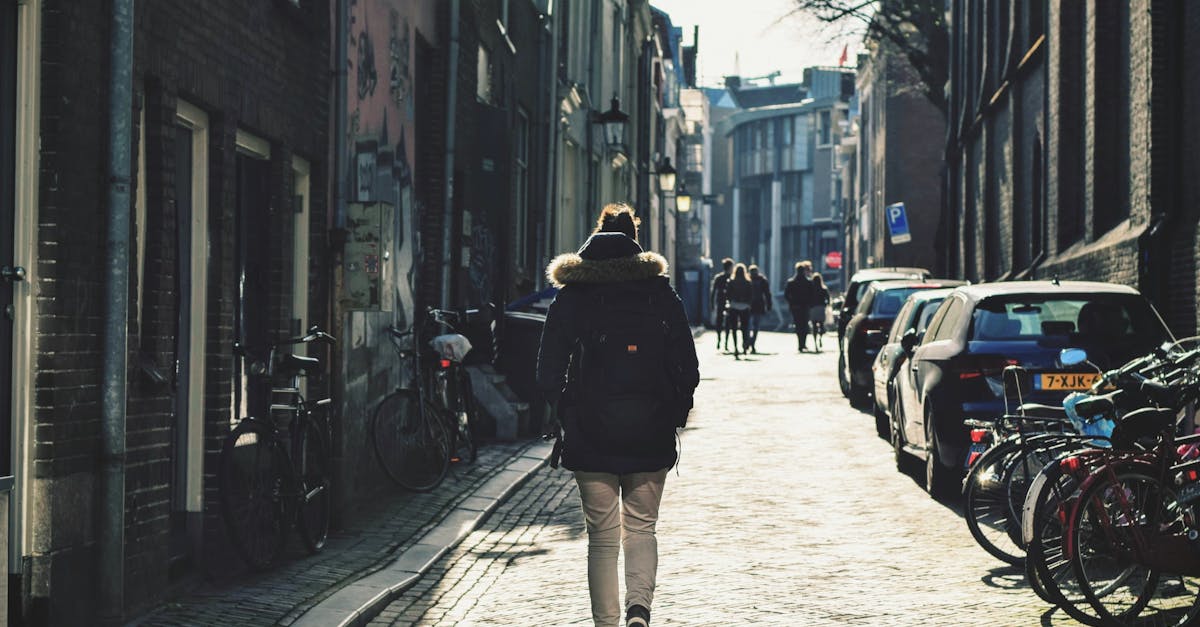 Building Vocabulary through Interactive Flashcards in Dutch