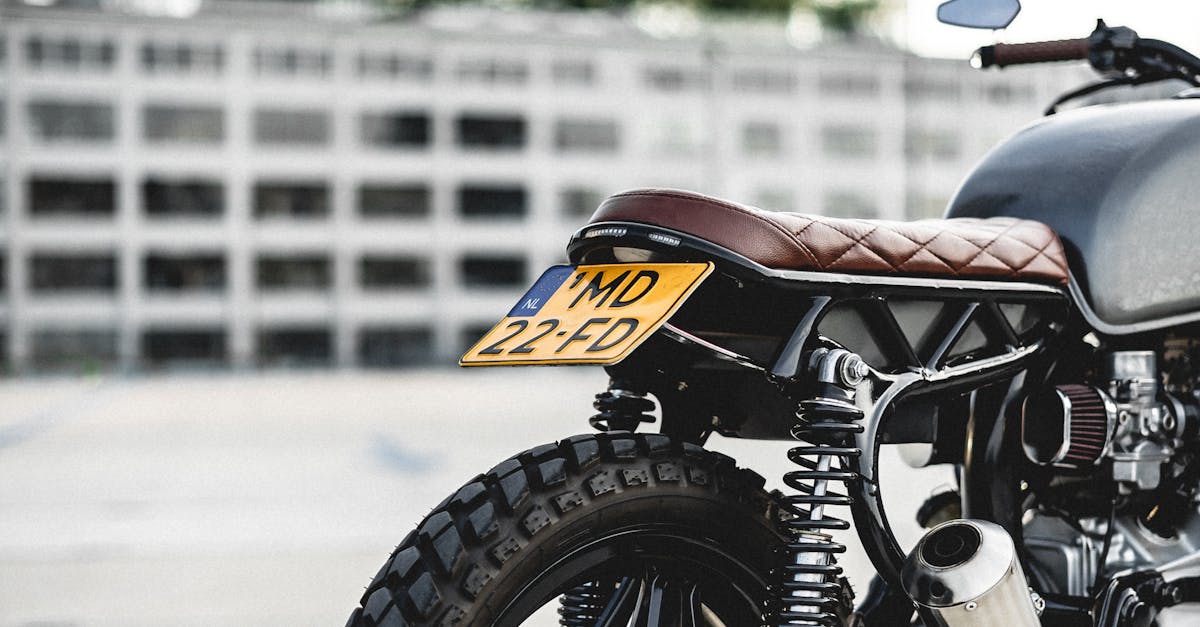 Building Your First Dutch Vocabulary List