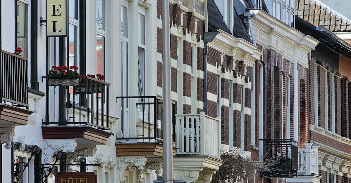 Comparing Free and Paid Dutch Language Apps for Beginners