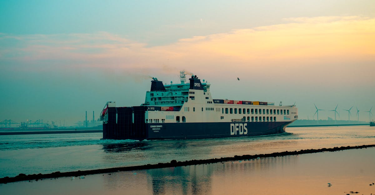 Developing Vocabulary Through Art Projects in Dutch Classes