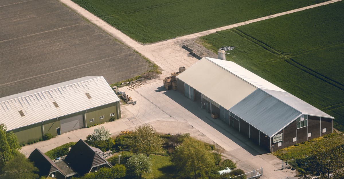 Discovering the Cultural Significance of Utrecht's Flower Festivals