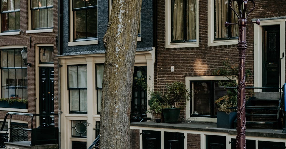 Engaging in Debate: Advanced Topics for Dutch Discussion Groups