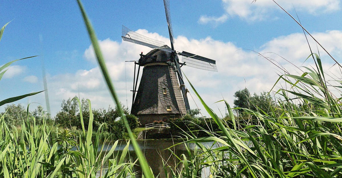 Engaging with Dutch Culture Through Intermediate Language Skills