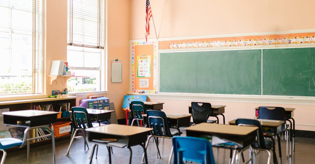 Essential Grammar Rules for Dutch Language Learners