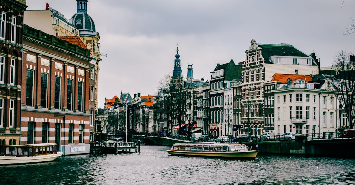 Expanding Your Vocabulary for Fluid Conversations in Dutch