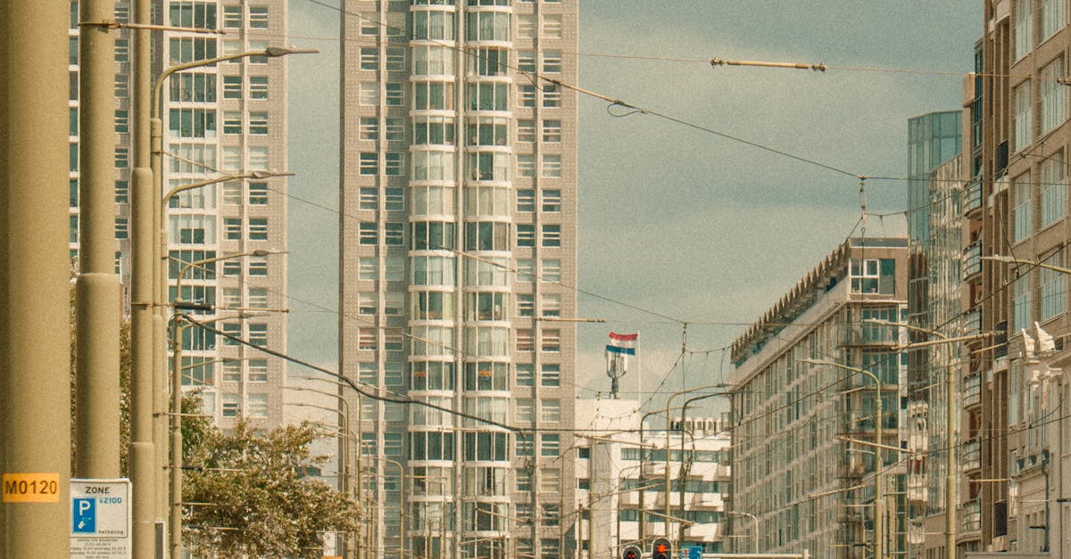 Exploring Dutch Culture Through Language for Kids