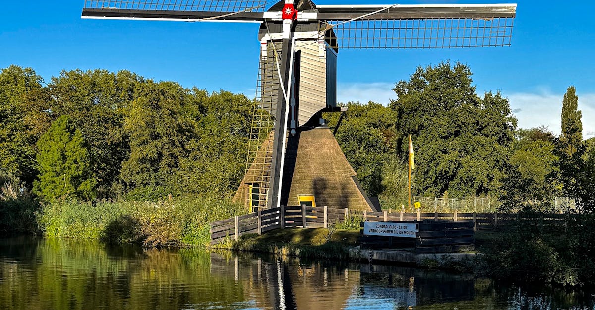 Exploring Dutch Literature: An Advanced Approach to Language Learning
