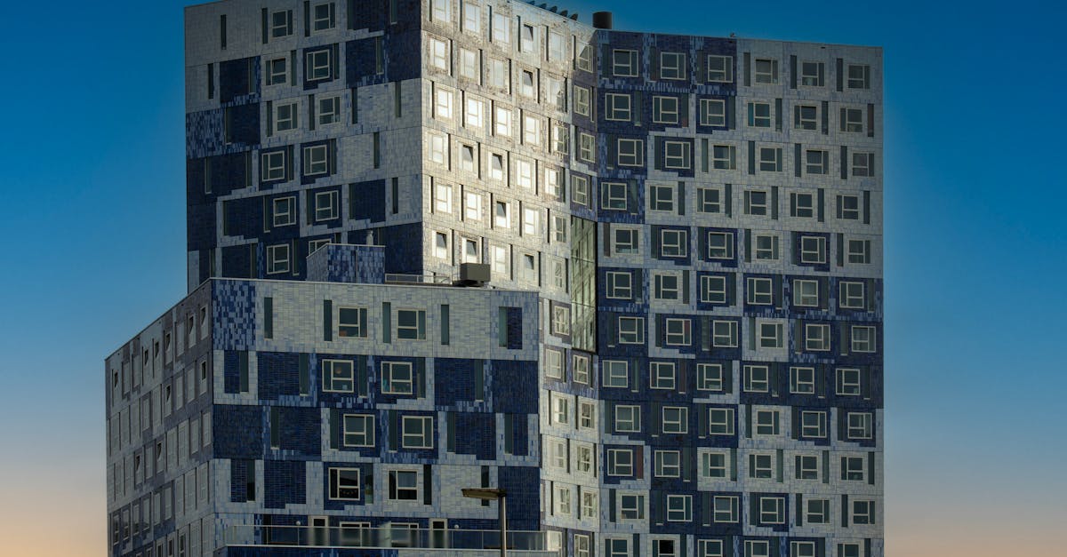 Exploring Dutch Traditions Through Film