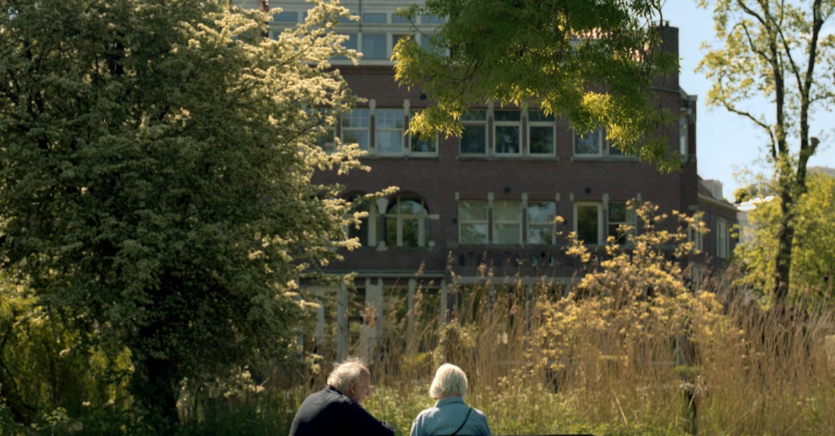 Exploring Utrecht's Culinary Heritage Through Cooking Classes