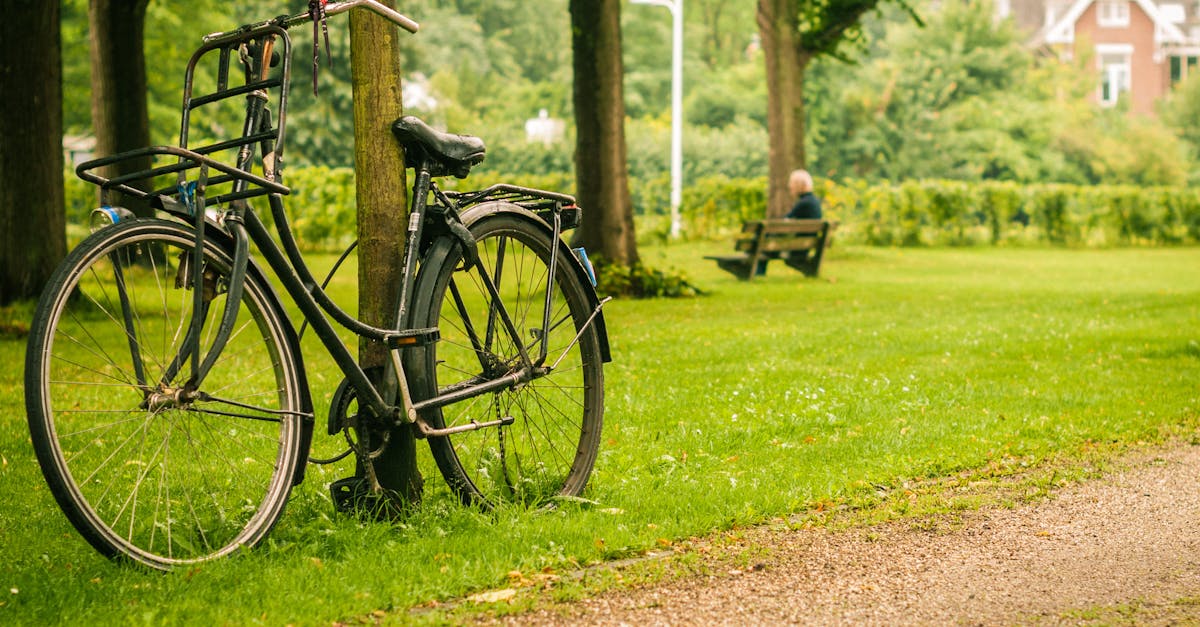 How Dutch Apps Enhance Listening Skills for New Learners