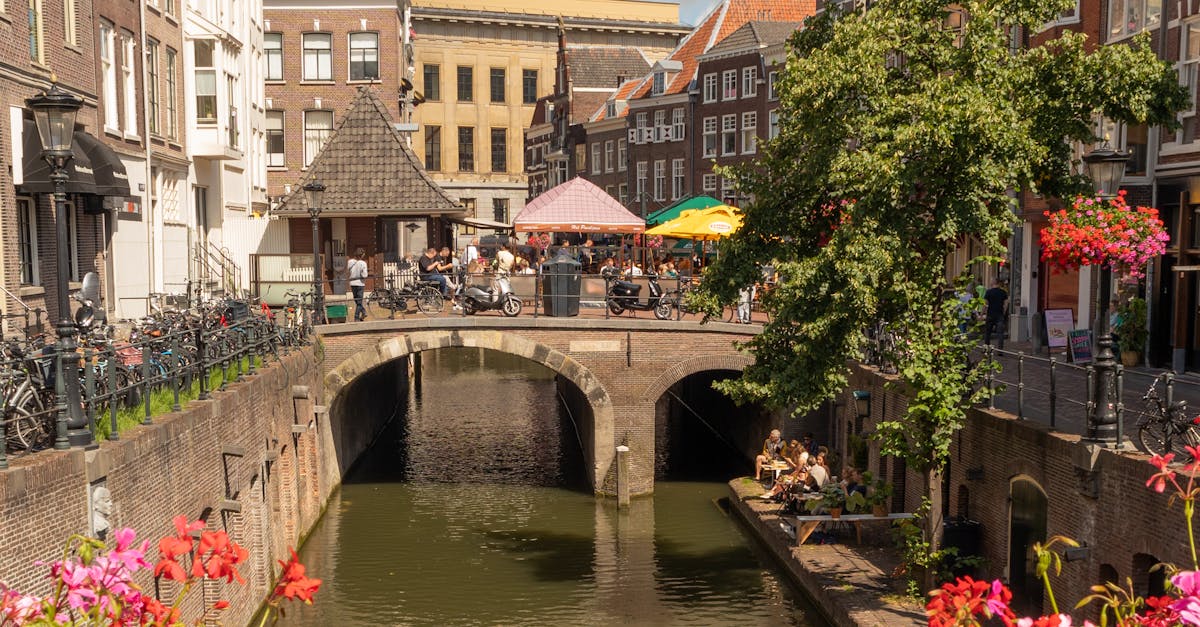 How to Choose a Private Dutch Tutor in Utrecht