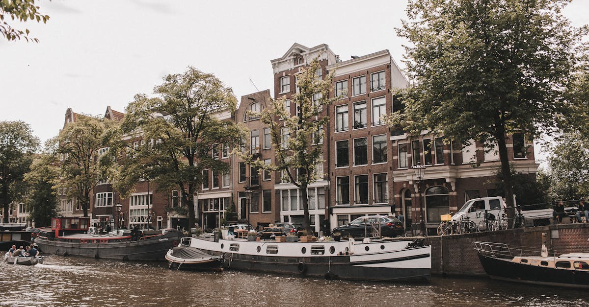 How to Find the Best Language Exchange Partners in Utrecht