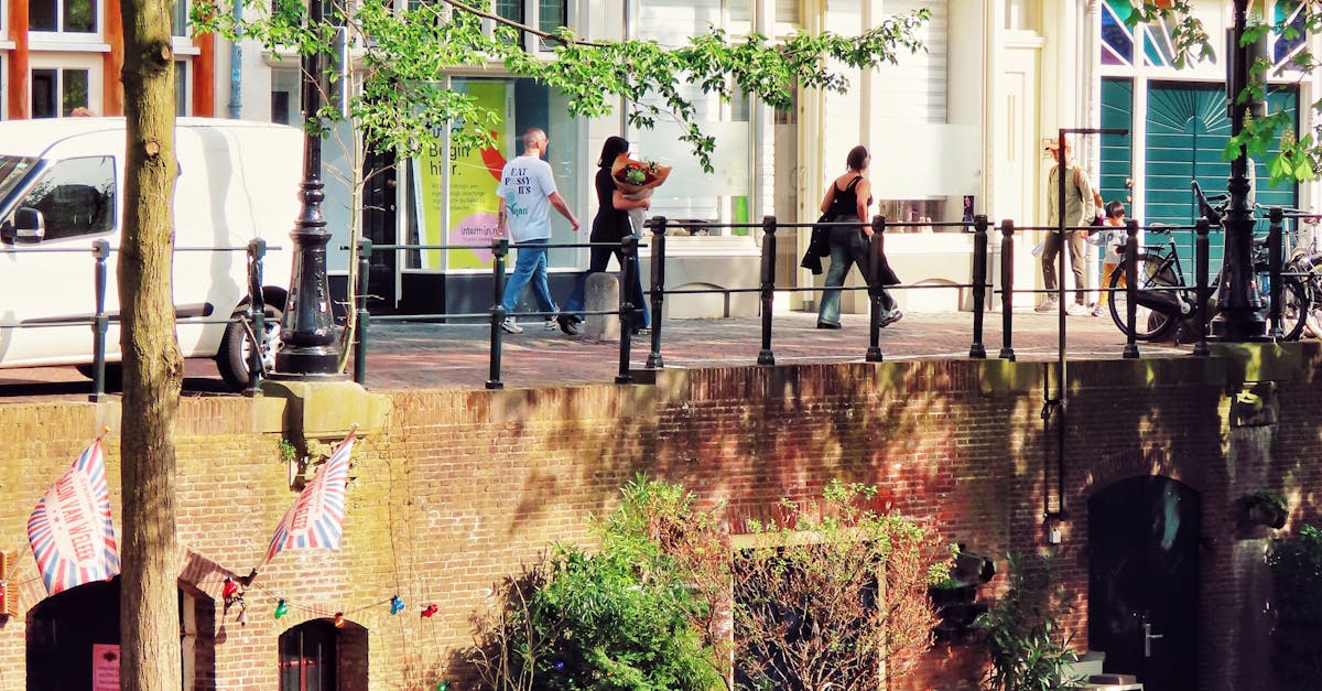 Insights into the Most Engaging Dutch Learning Apps