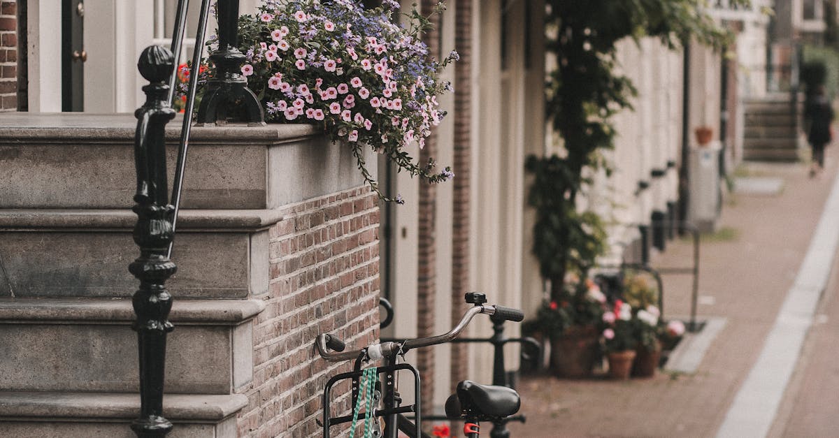 Learning Business Presentations Skills in Dutch