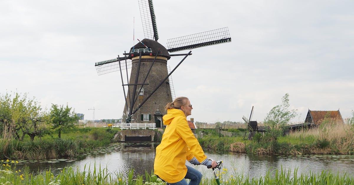Mastering Complex Sentences in Intermediate Dutch