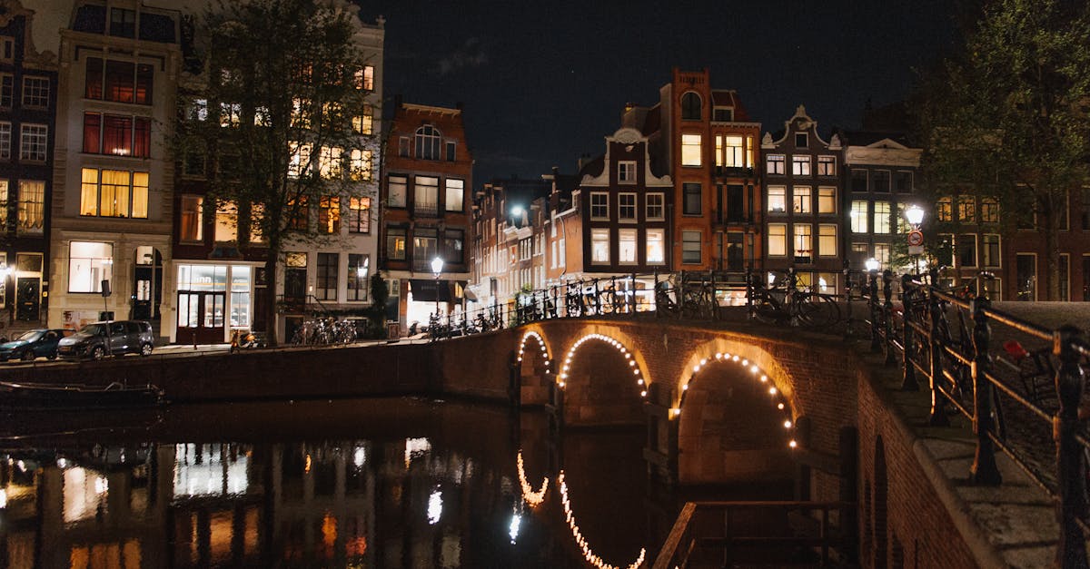 Mastering Dutch Grammar Basics for Beginners