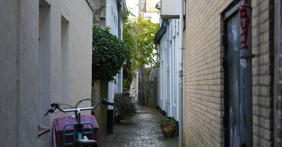 Mastering Everyday Dutch: A Workshop for Natural Communication