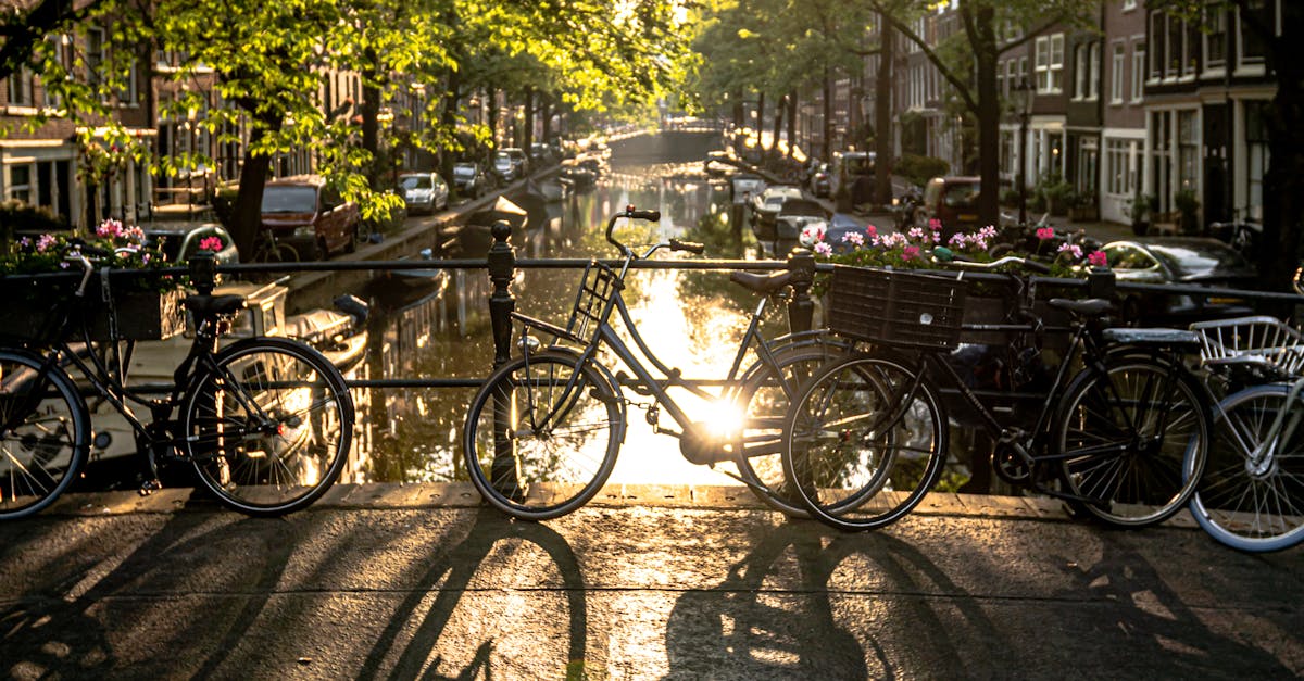 Organizing Successful Language Exchange Sessions in Utrecht