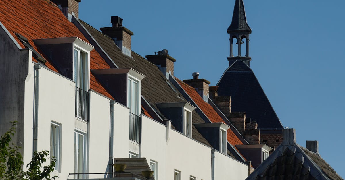Overcoming Common Challenges in Learning Dutch at the Beginner Level