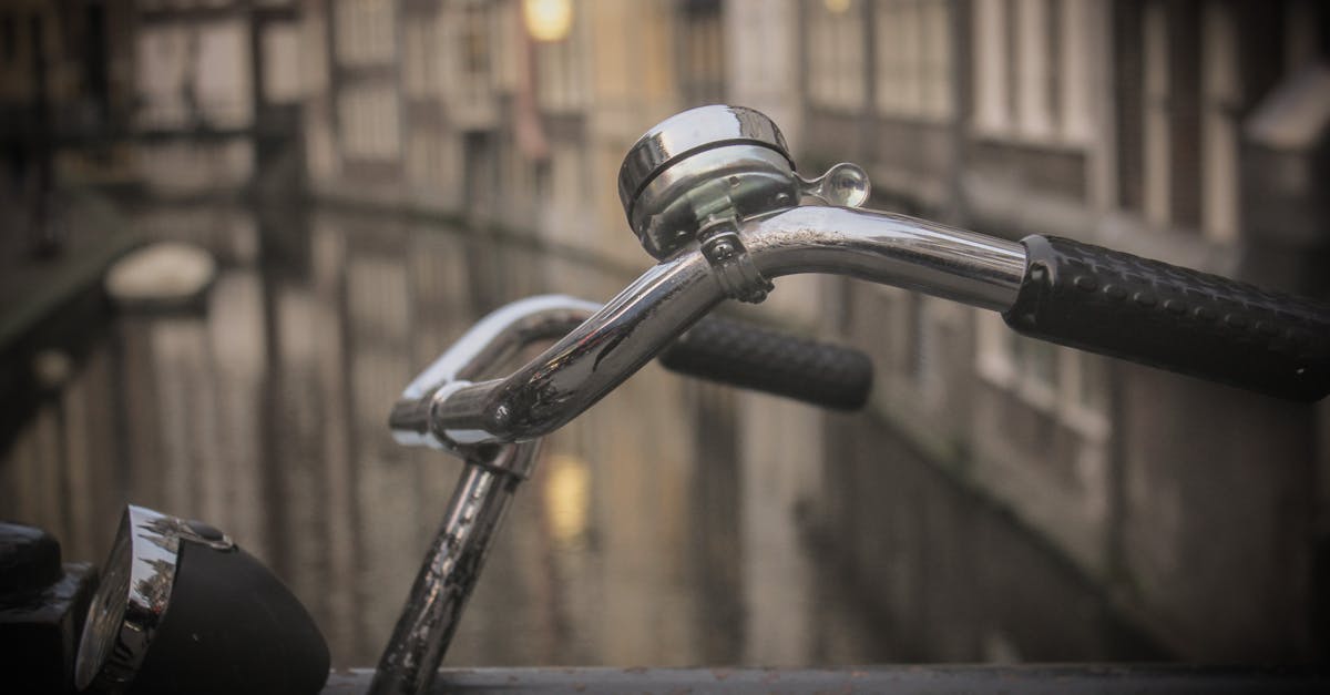 Preparing for Job Interviews in Dutch: Tips and Strategies