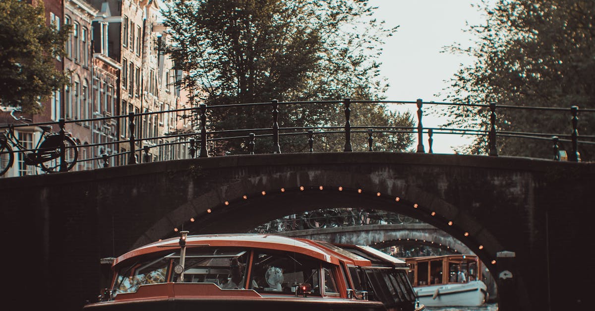 Simple Dutch Grammar for New Learners