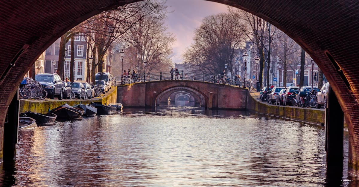 Strategies for Effective Communication in Online Dutch Classes