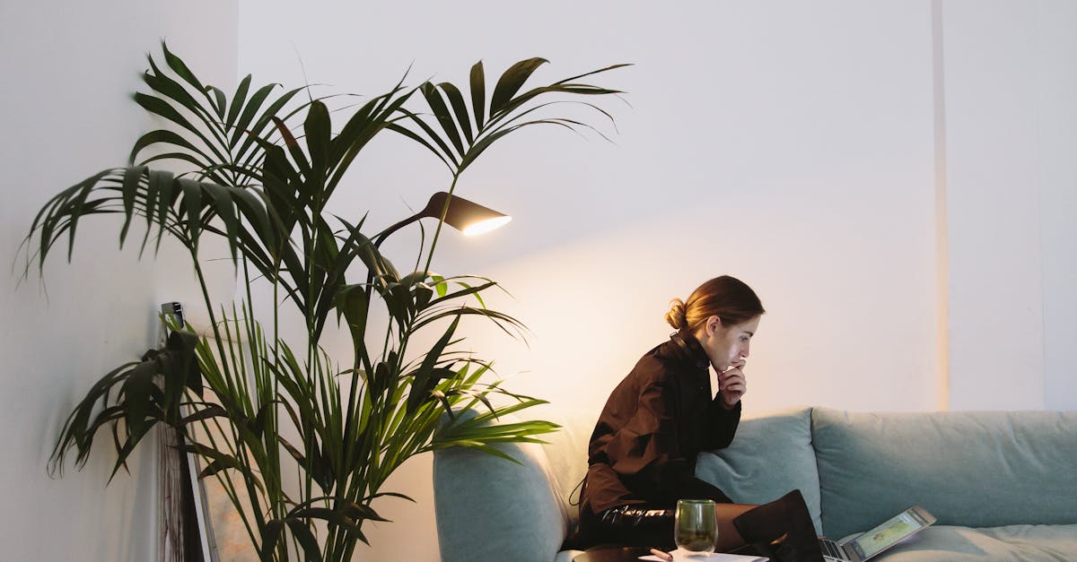 The Role of Culture in Beginner Dutch Language Learning