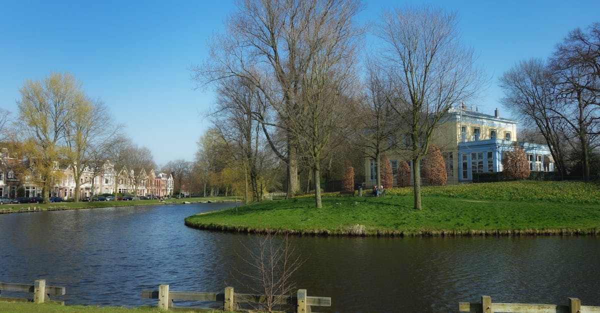 The Role of Dutch Dialects in Advanced Language Proficiency