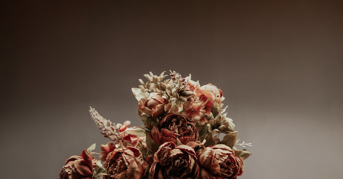 Tips for Effectively Participating in Dutch Language Meetups