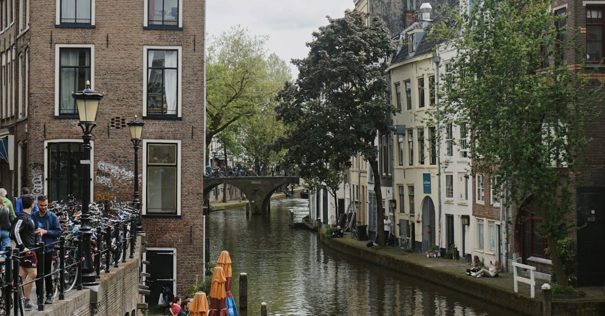 Top Beginner Dutch Instructors to Look for in Utrecht