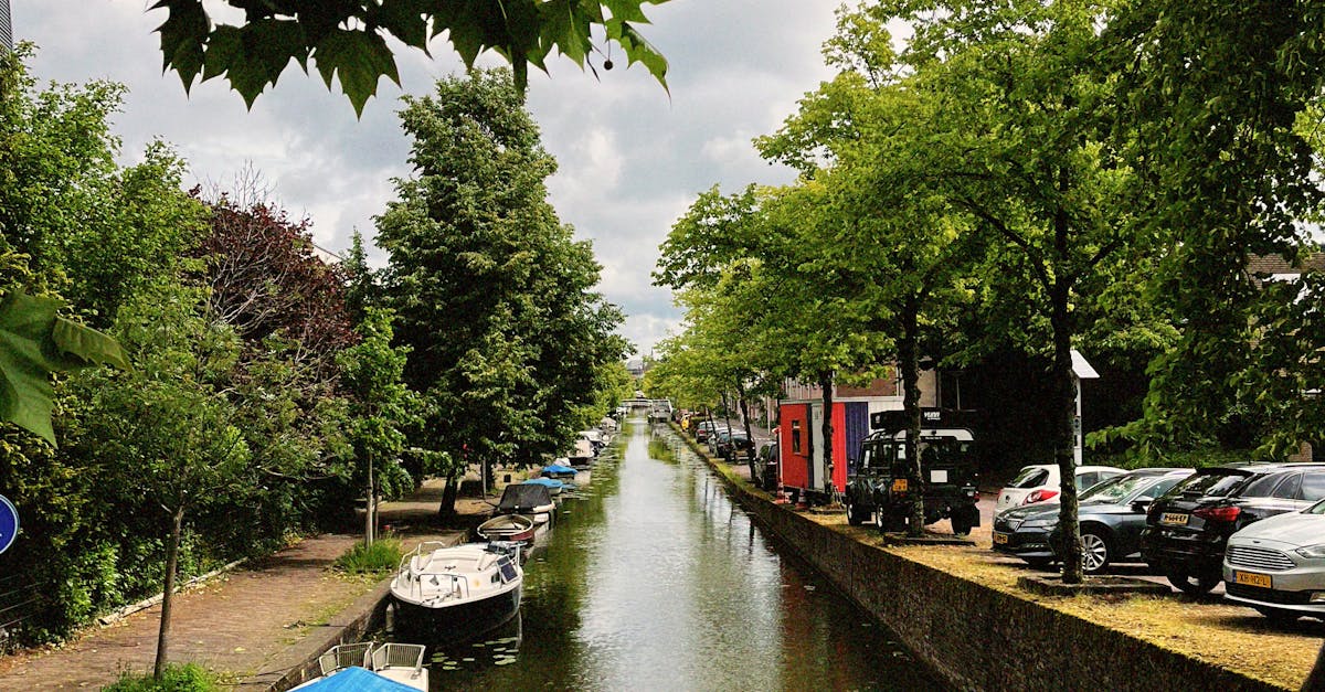 Unlocking Mastery: Effective Strategies for Advanced Dutch Learners