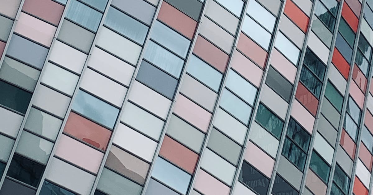 Using Interactive Online Tools for Mastering Dutch